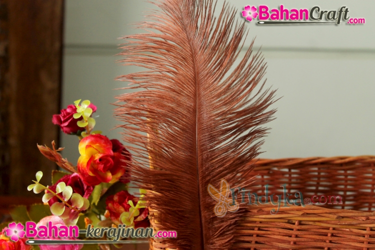 findyka bulu kasuari ostrich sedang uk 21 23cm coklat findyka bulu kasuari ostrich sedang uk 21 23cm coklat